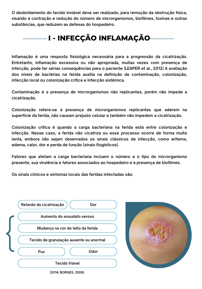 Captura de Tela 2024-02-29 às 14.16.24