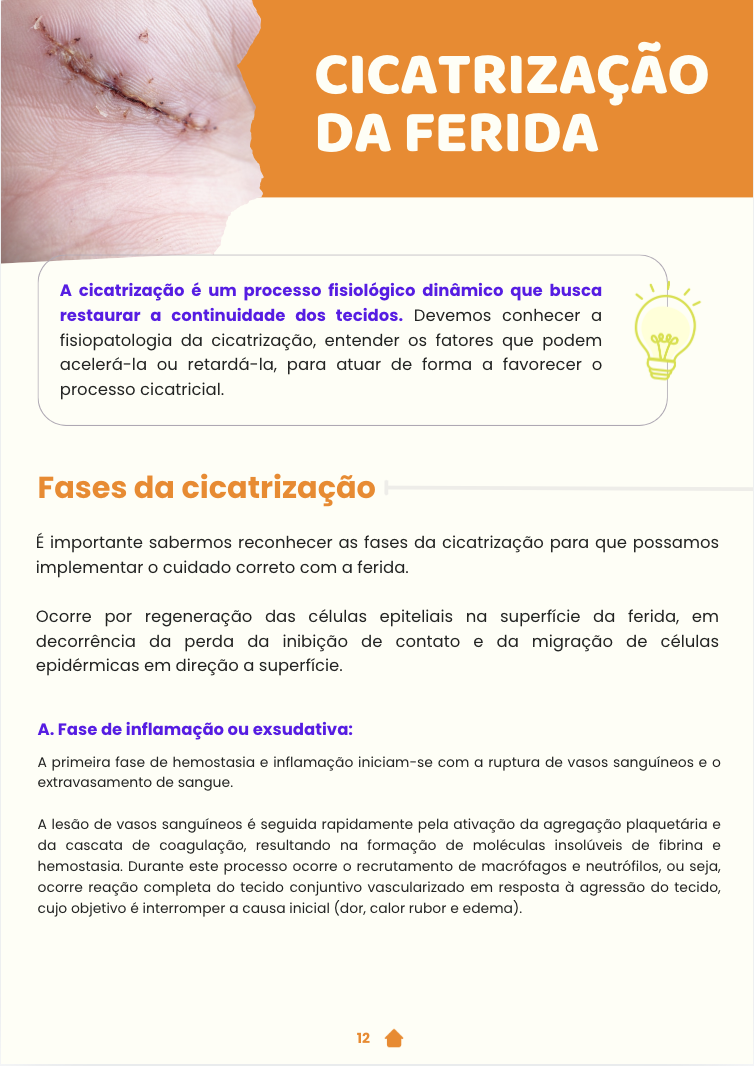 Captura de Tela 2024-09-17 às 11.34.23